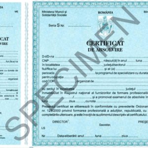 model diploma anc 2 1